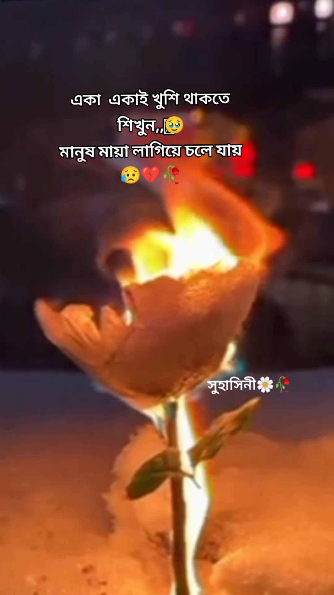 @Pakhi sarkar