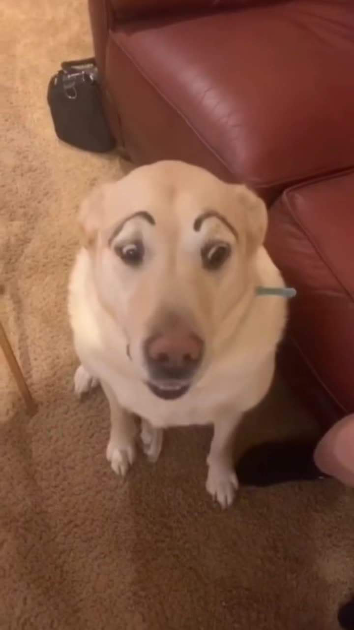 @Houseday007