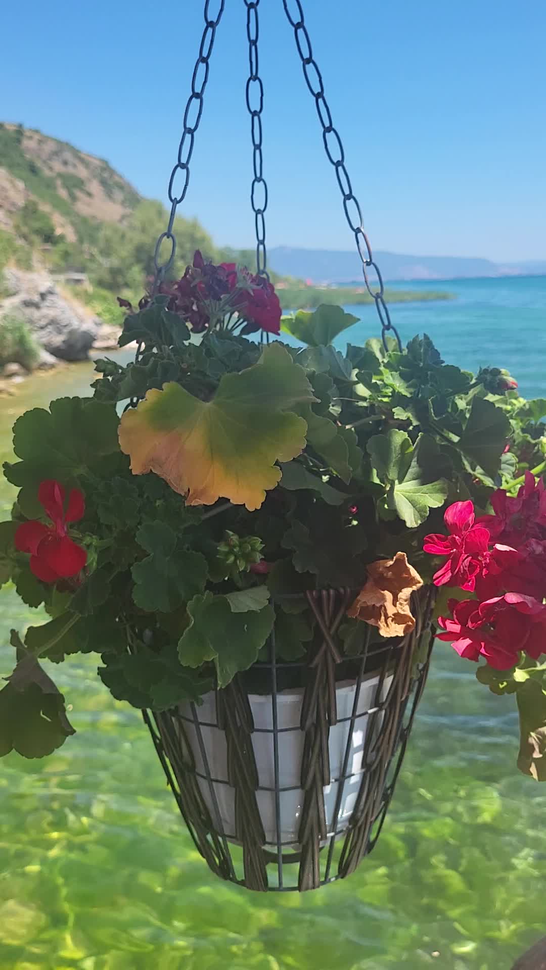 @Svetlana Dimova