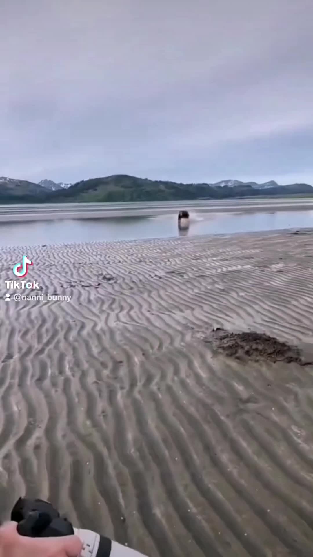 @Nannibunny