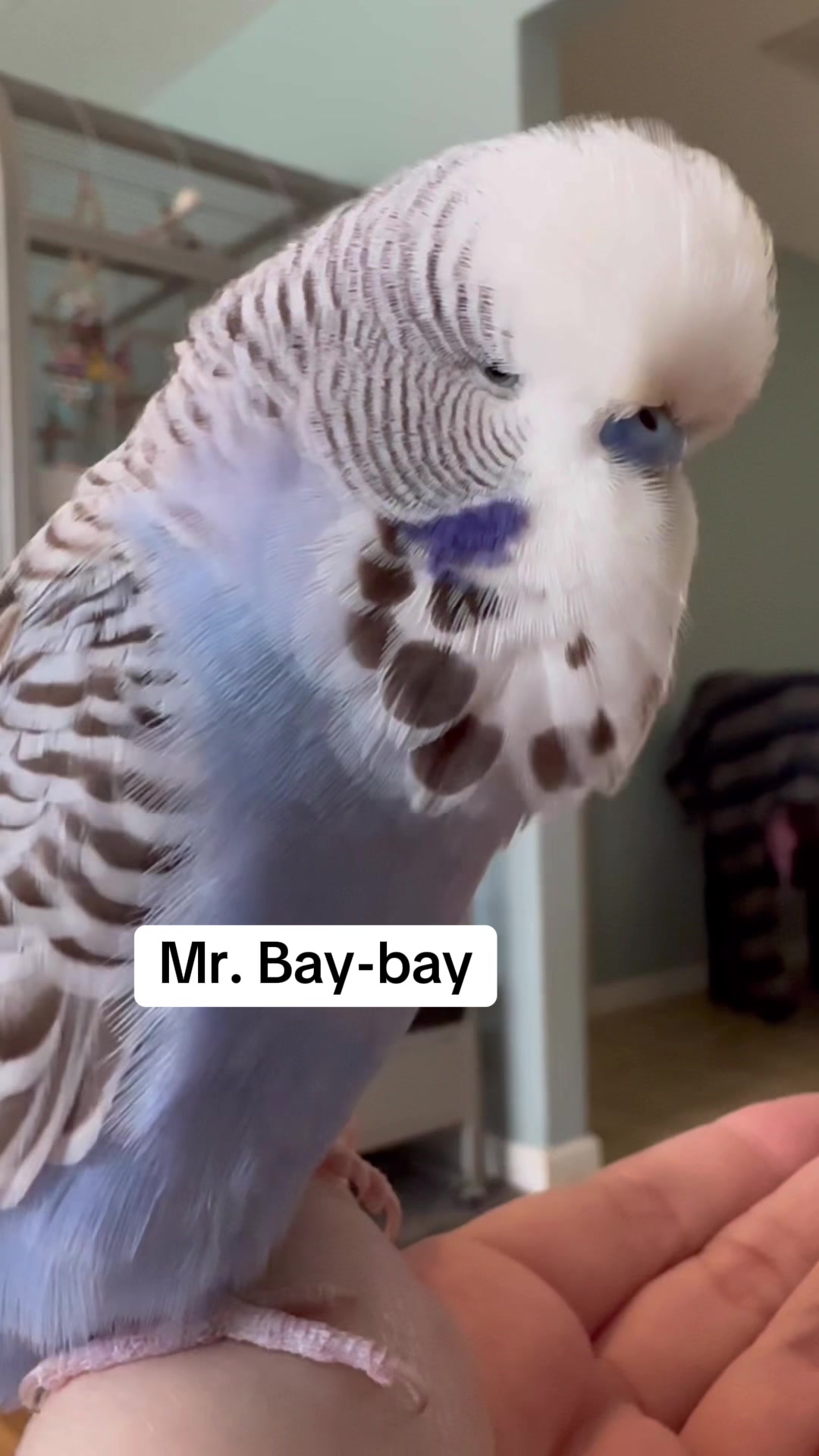 @Rupeedoo