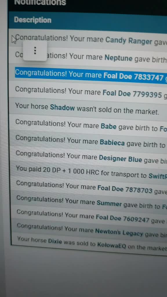 @horse reality