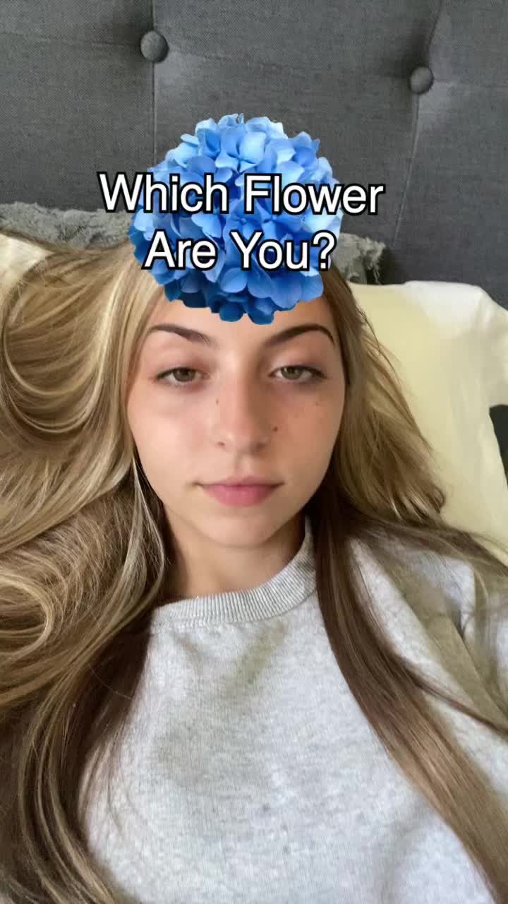 @nikki🫠