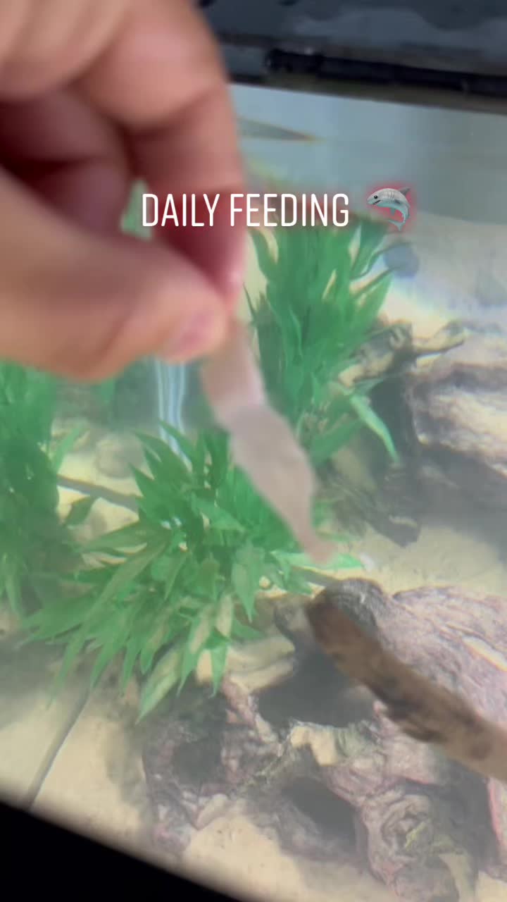 @Grub_the_bass