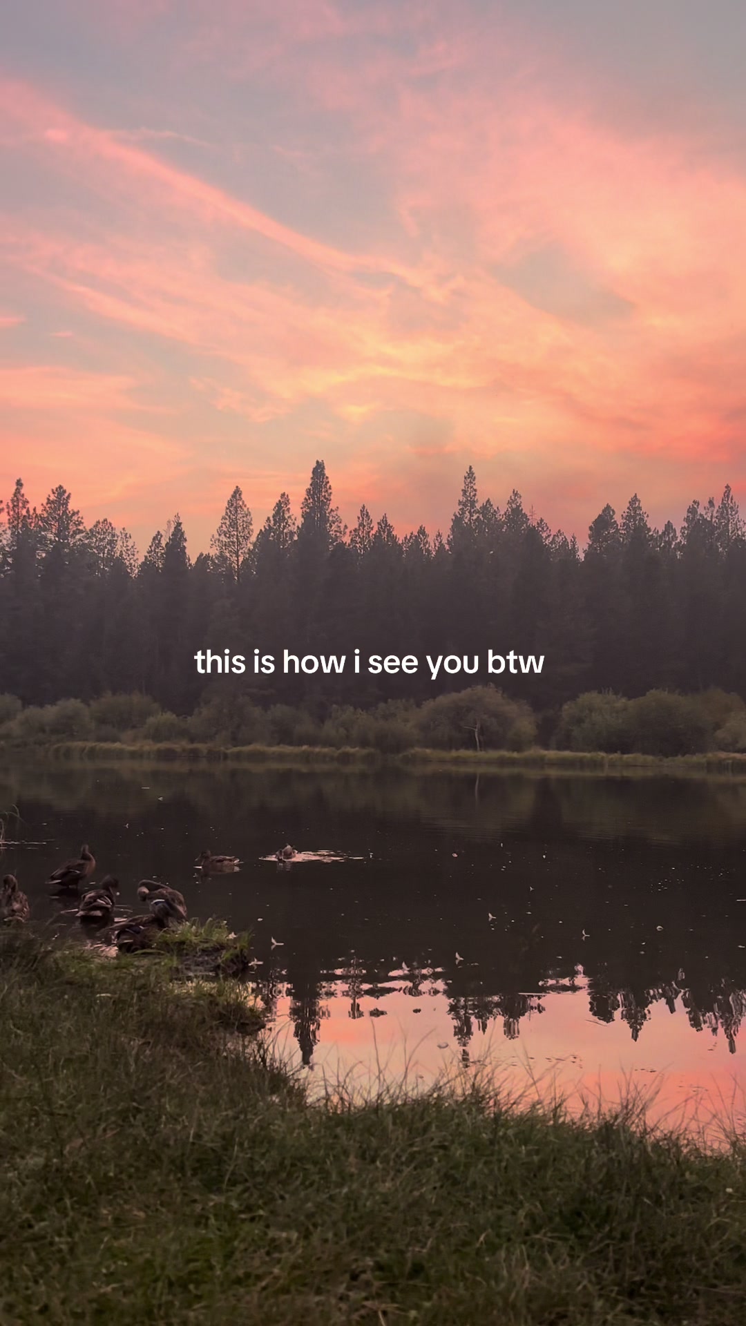@kimmy