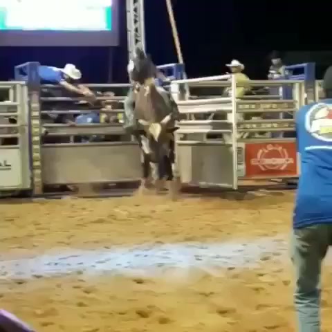 @RodeoWrecksFanPage