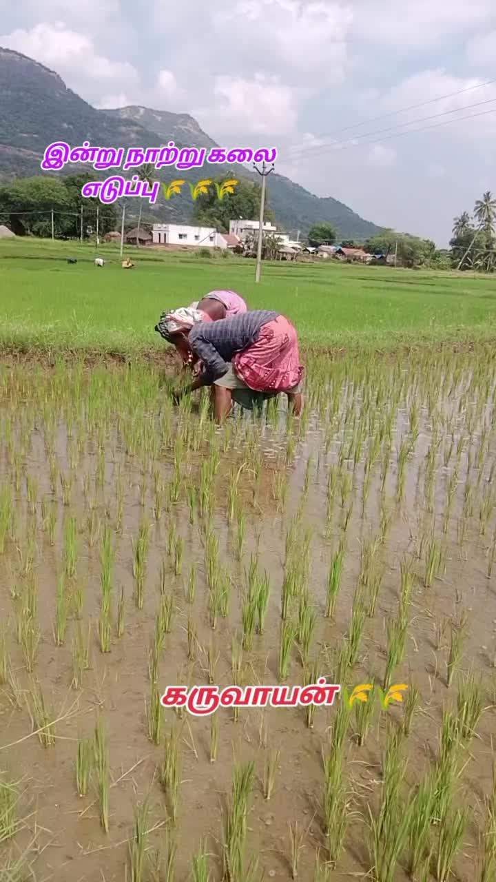 @கிராமத்துகருவாயன்🔰🔰🔰🌾