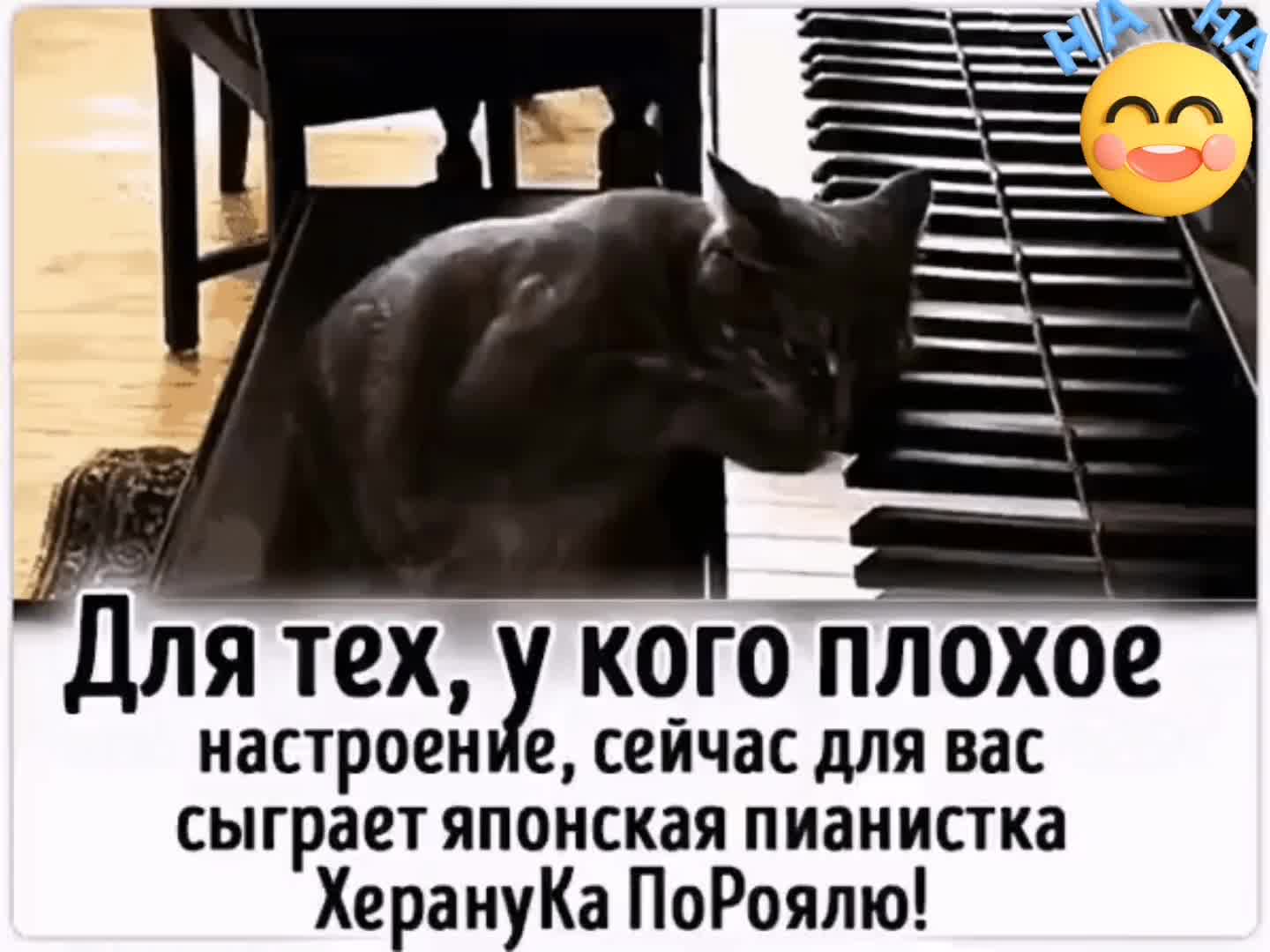 @Алена🇷🇺 96 🇷🇺