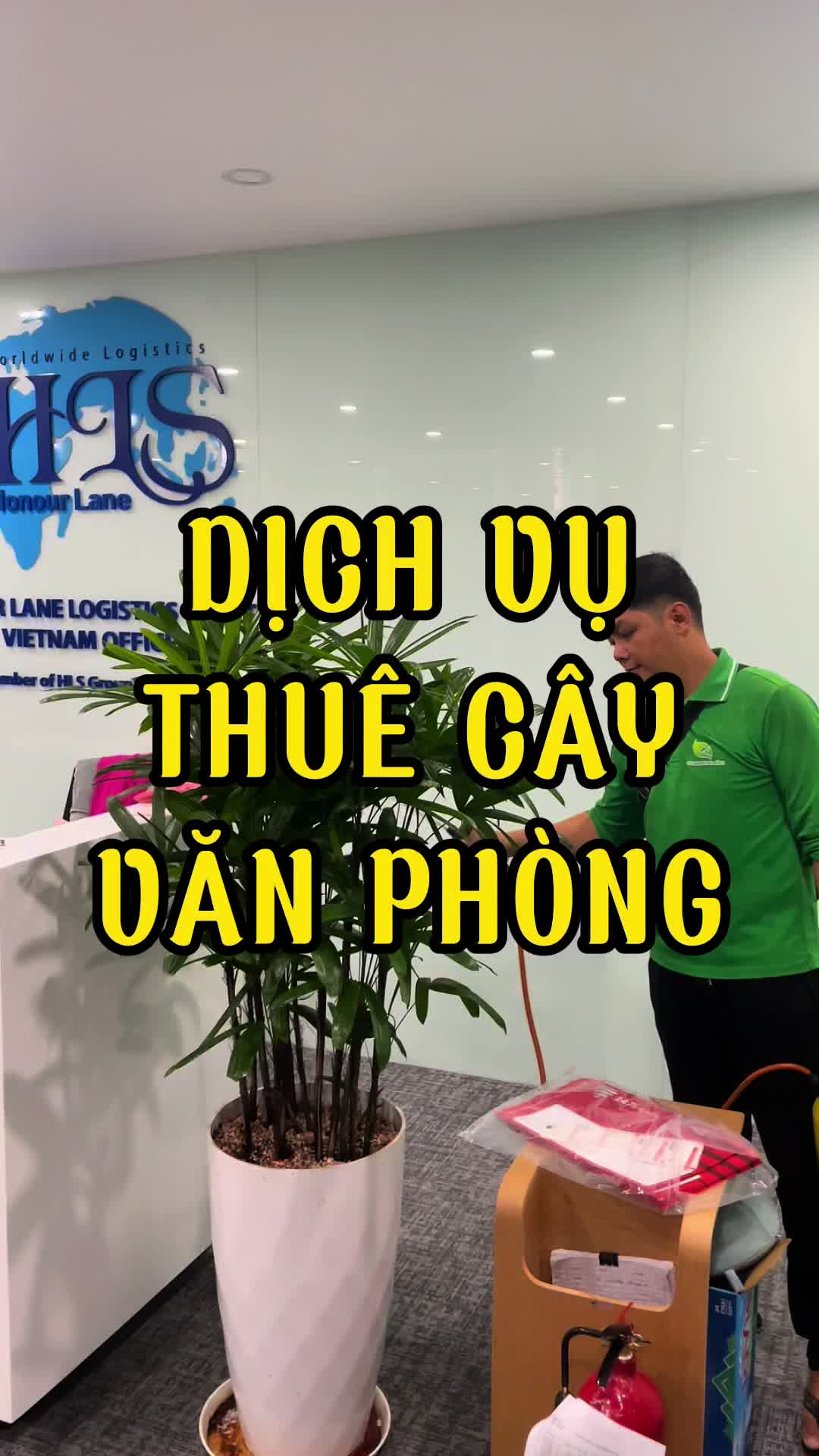 @C&acirc;y Xanh Phong Hồng