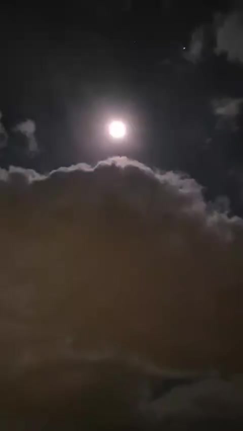 @ᗰᑌᔕᗩ & ᗴᖇᗴᑎ