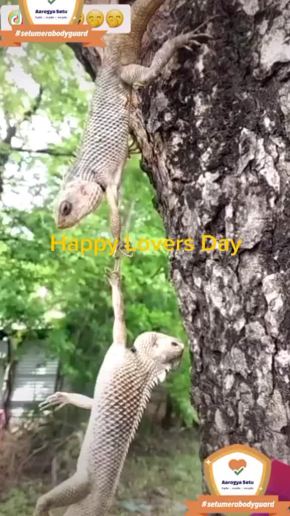 @vishwanathavishwa199