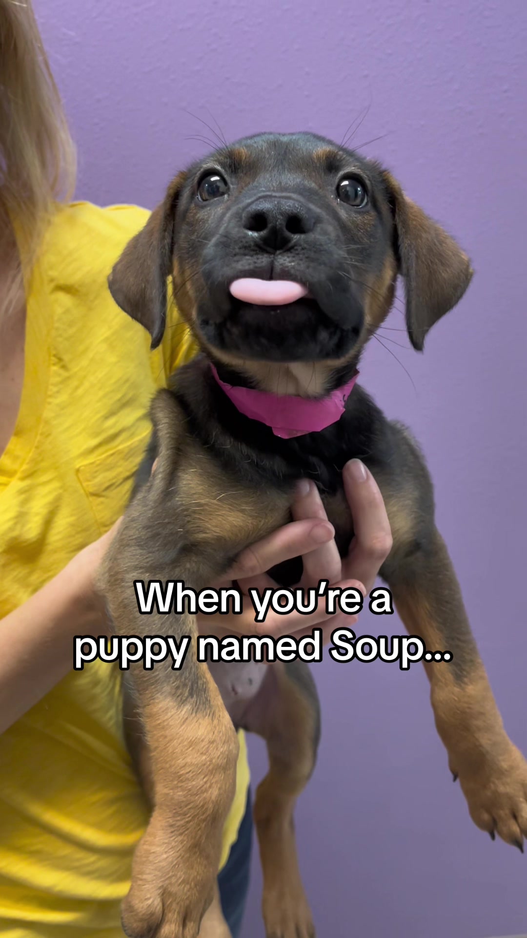 @animalhumanenm
