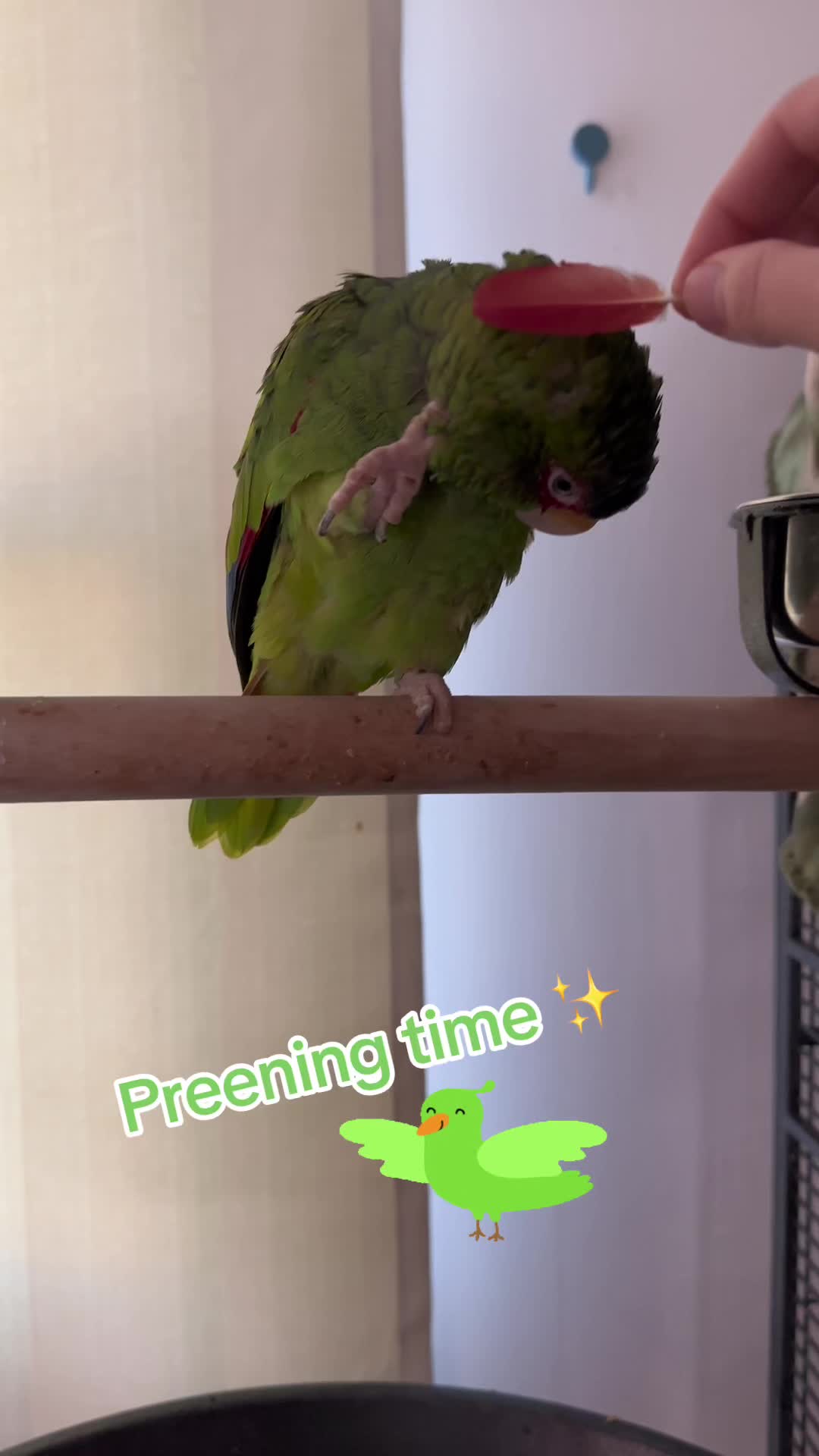 @Peeps