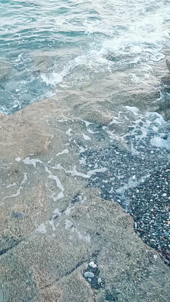 @شہروز حسن