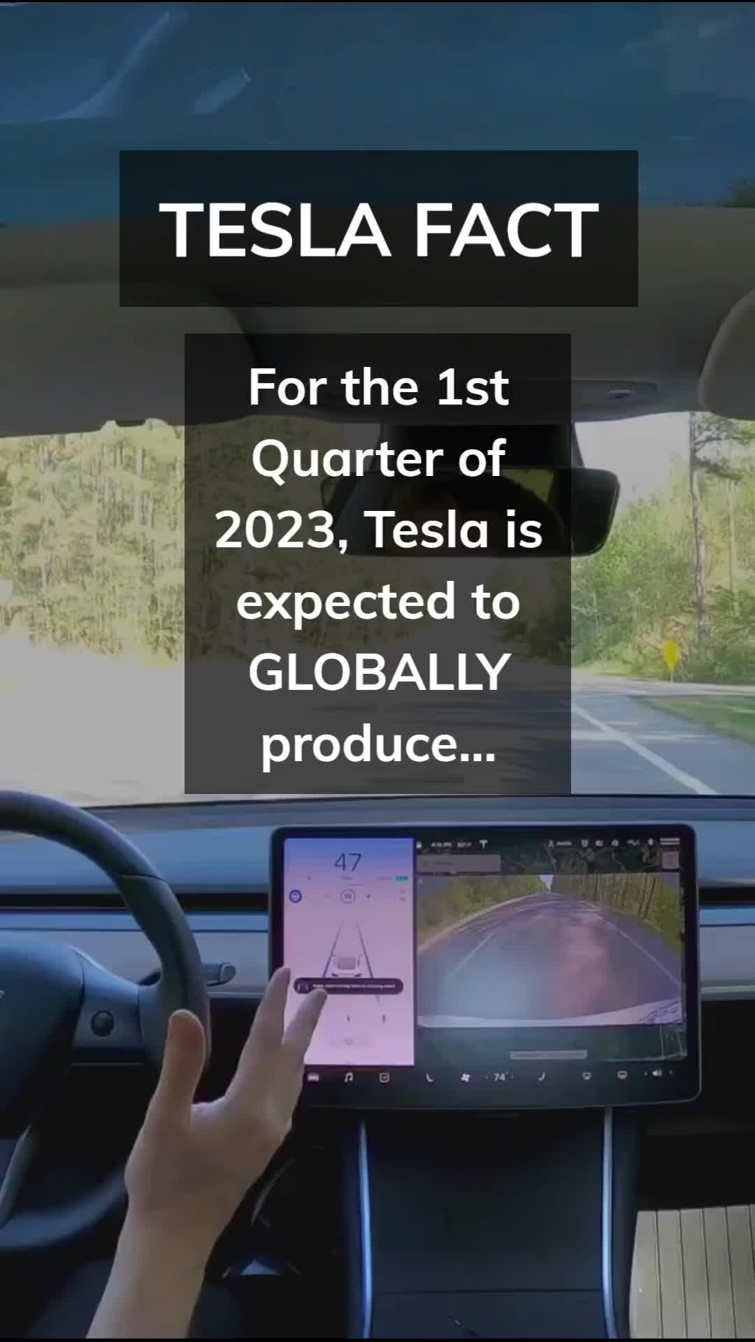 @Tesla Facts