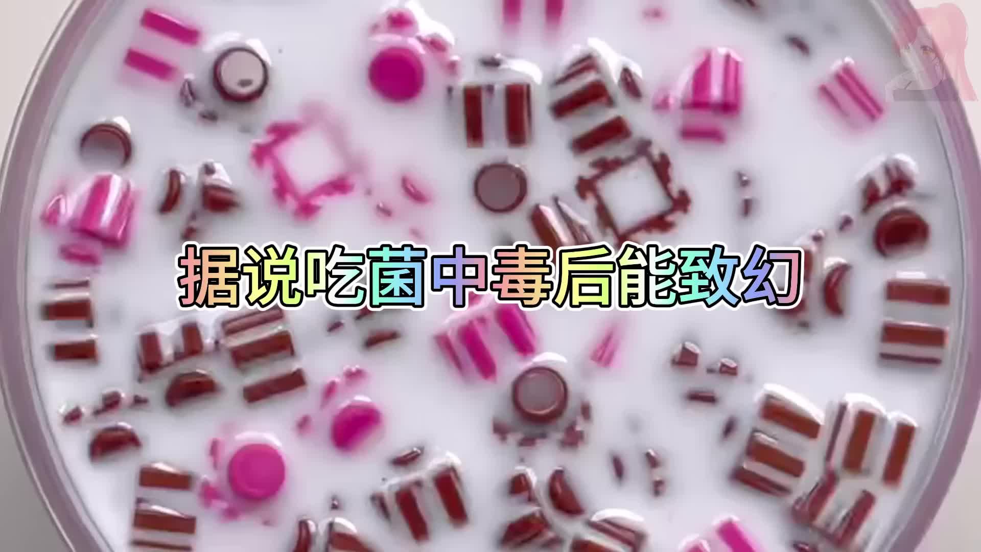 @:ᮨ້抓猫ᮨ༊⃝的鱼᭄�ᮨ⸙