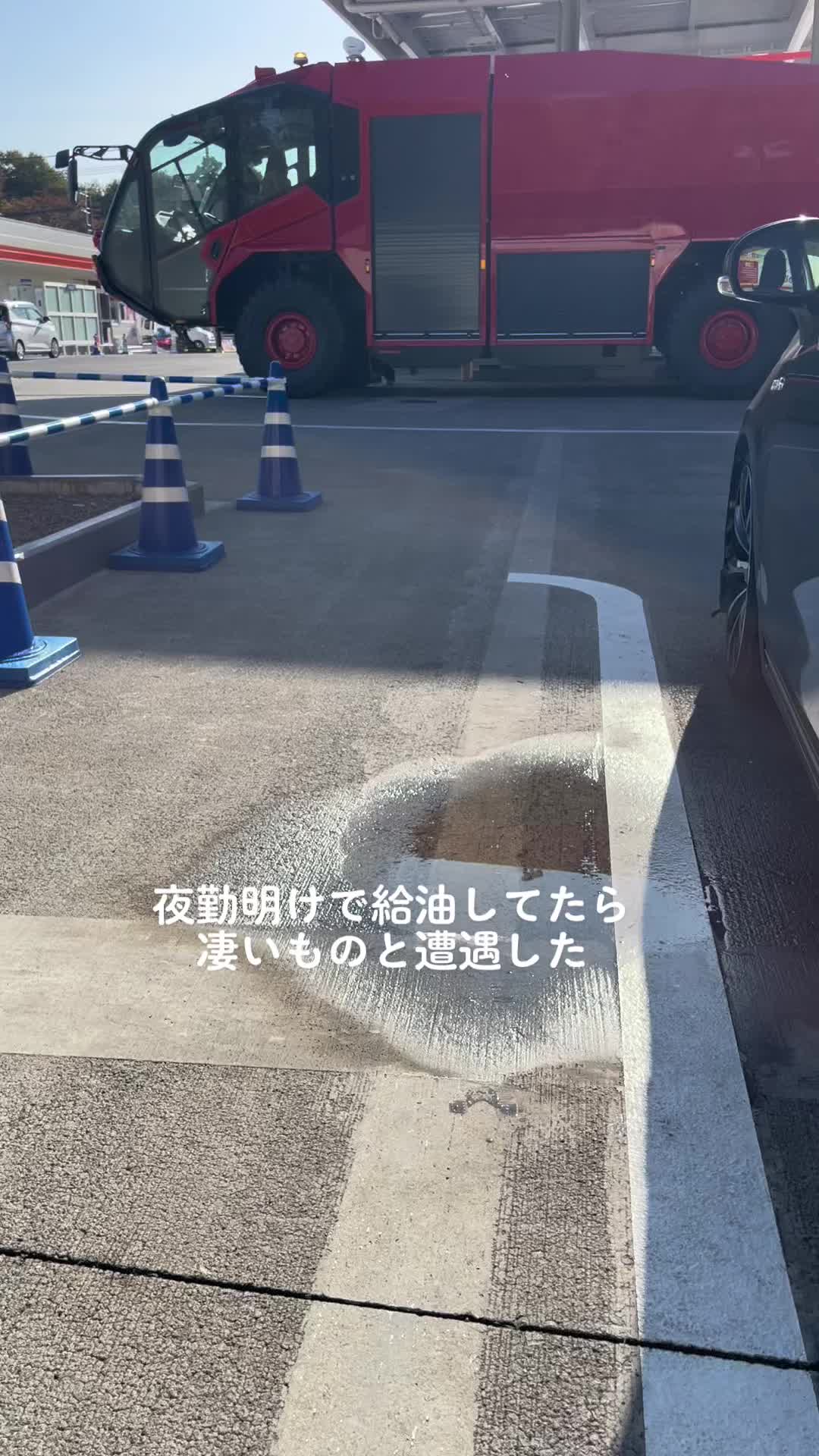 @🙏そいや(^↓^)肩幅お化け中身は仏の肩でかおニキ