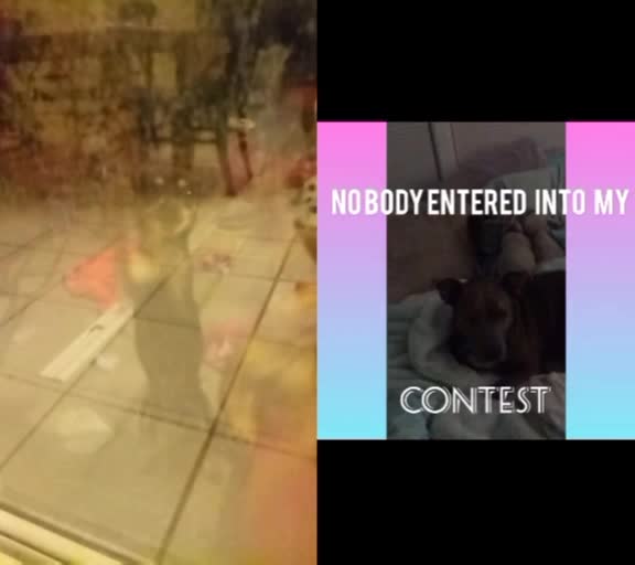 @Wolf_ieGaming