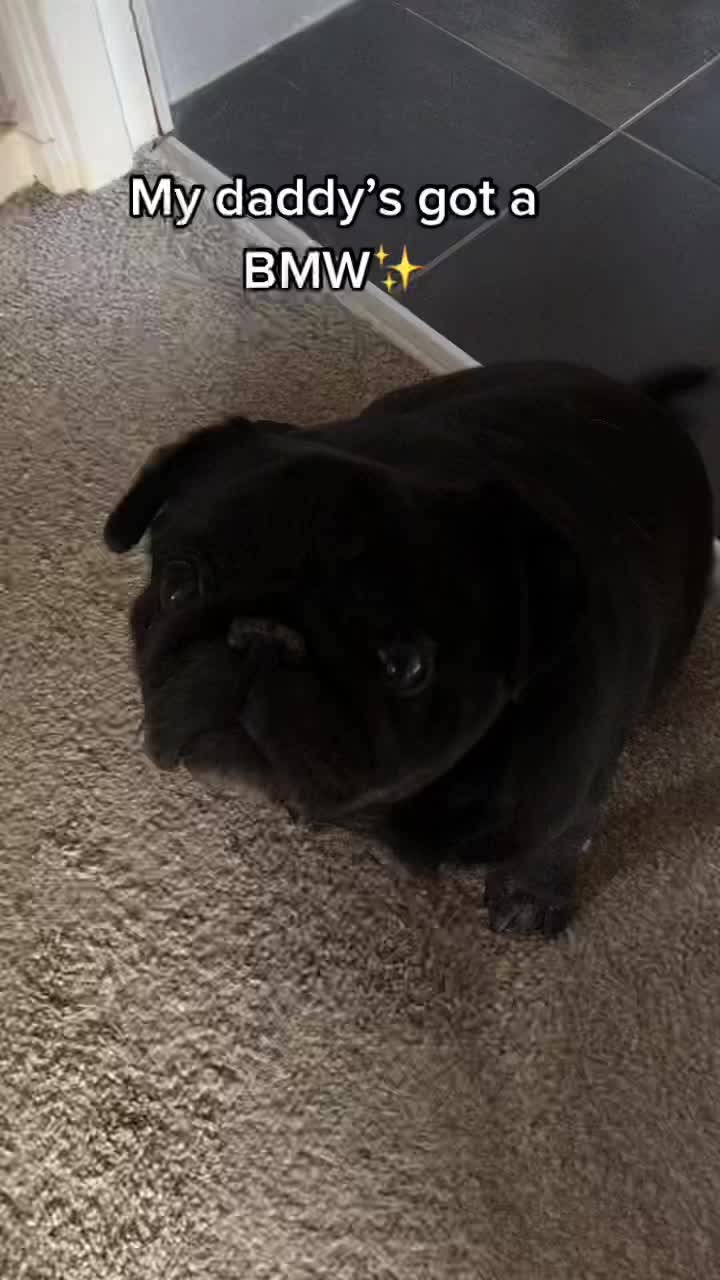 @Winston