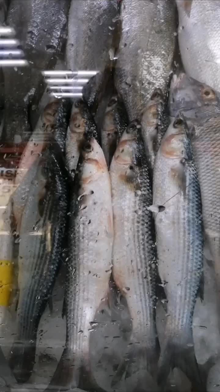 @fish mart@007