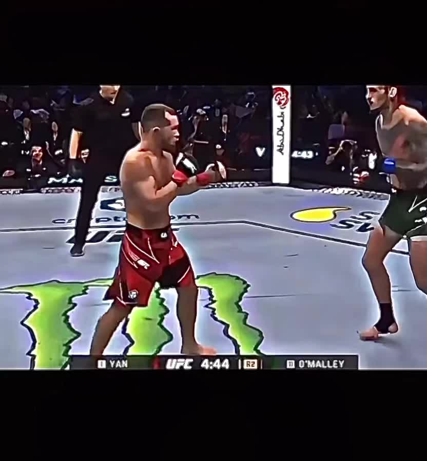 @ufc.globalvid
