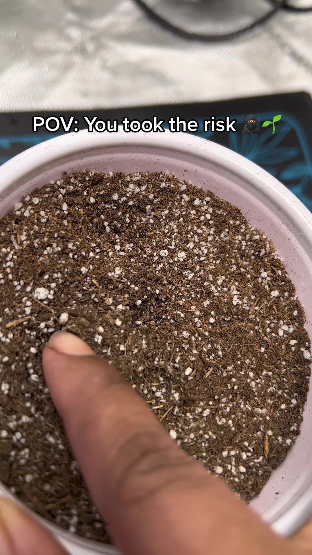 @PurpleLungz