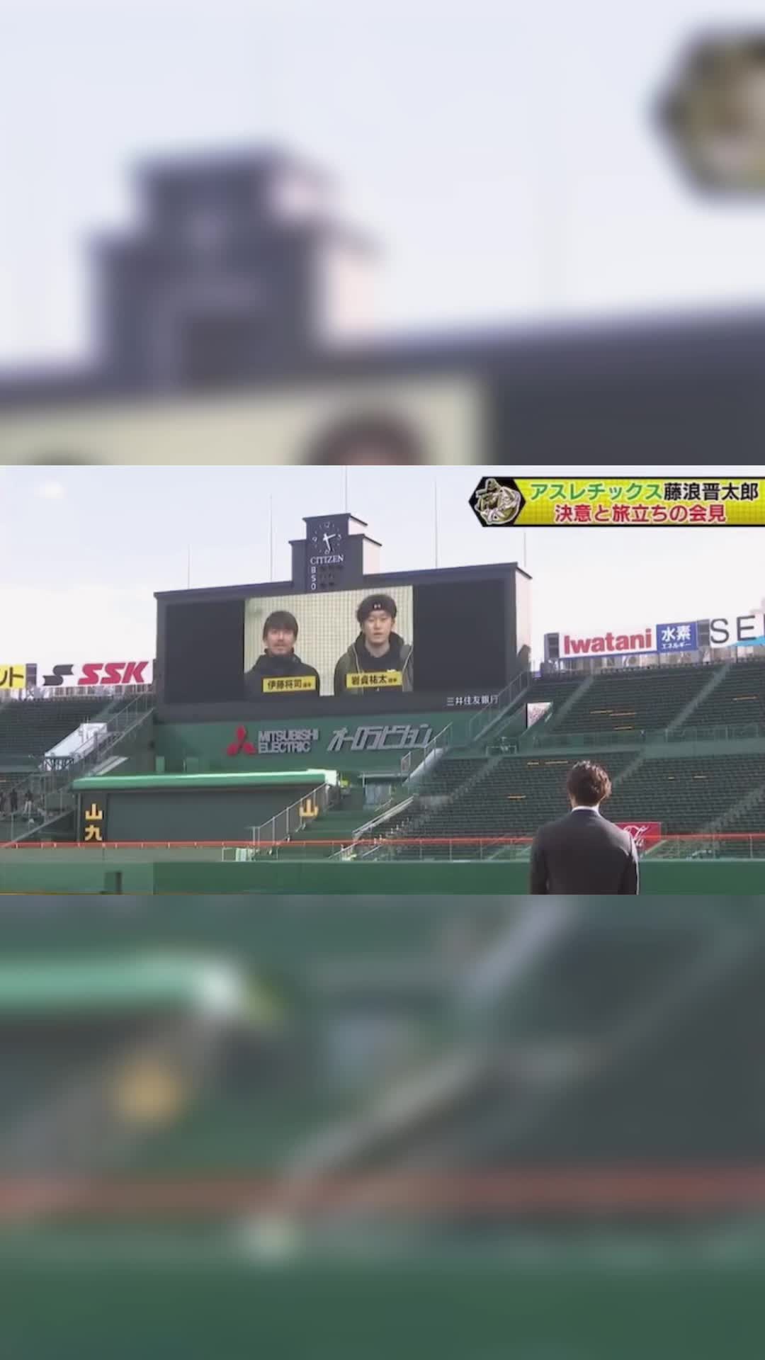 @ま 🦅🐯⚾️