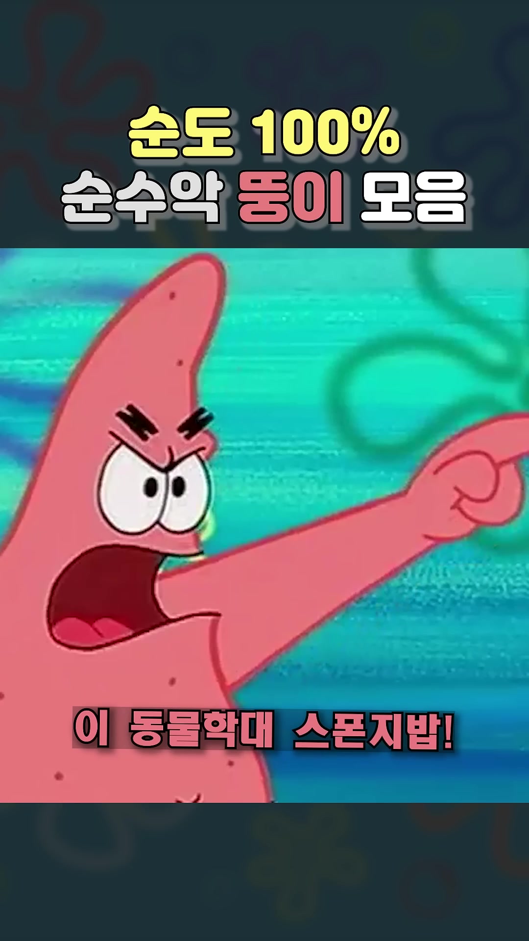 @스폰지밥