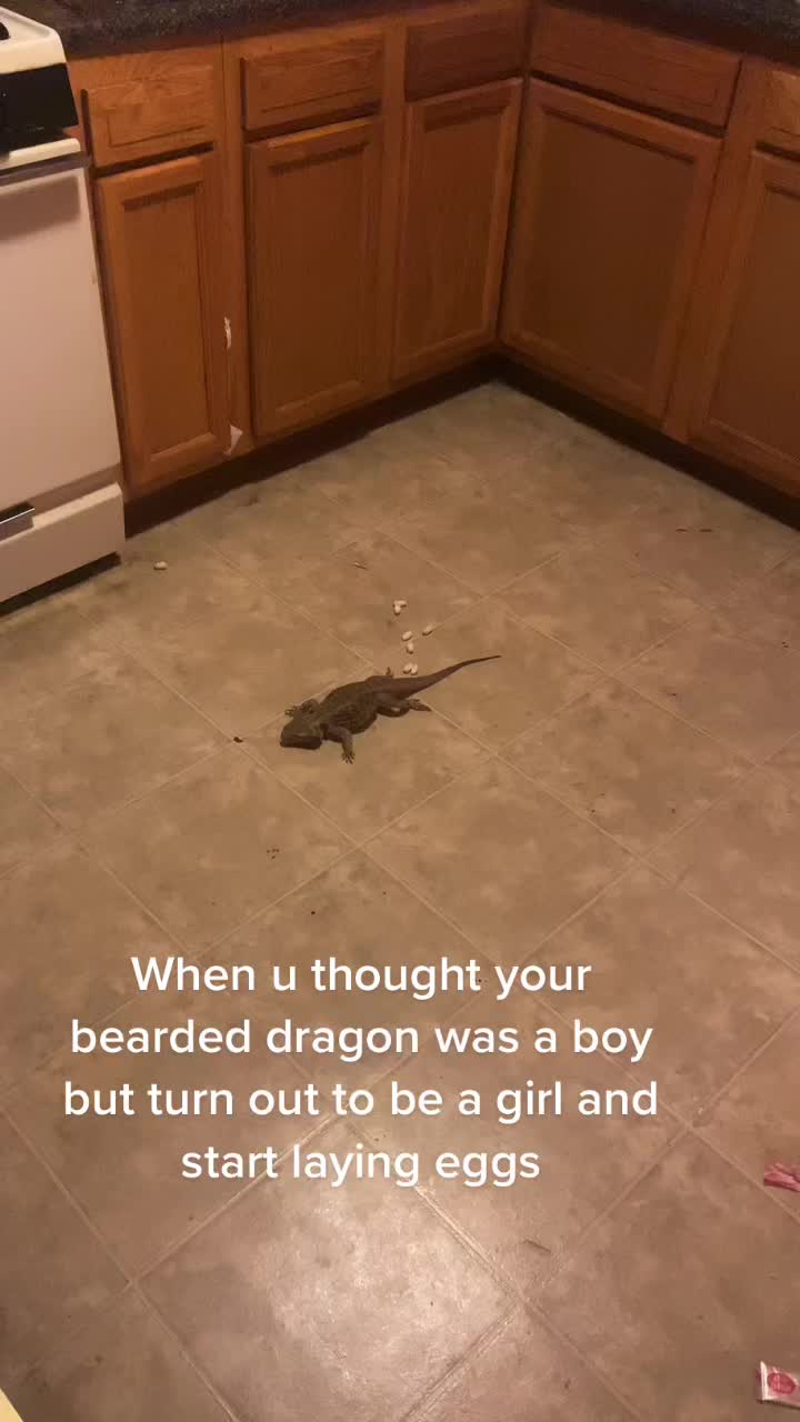 @destineyluxuryco