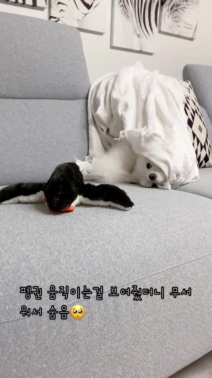 @권하리