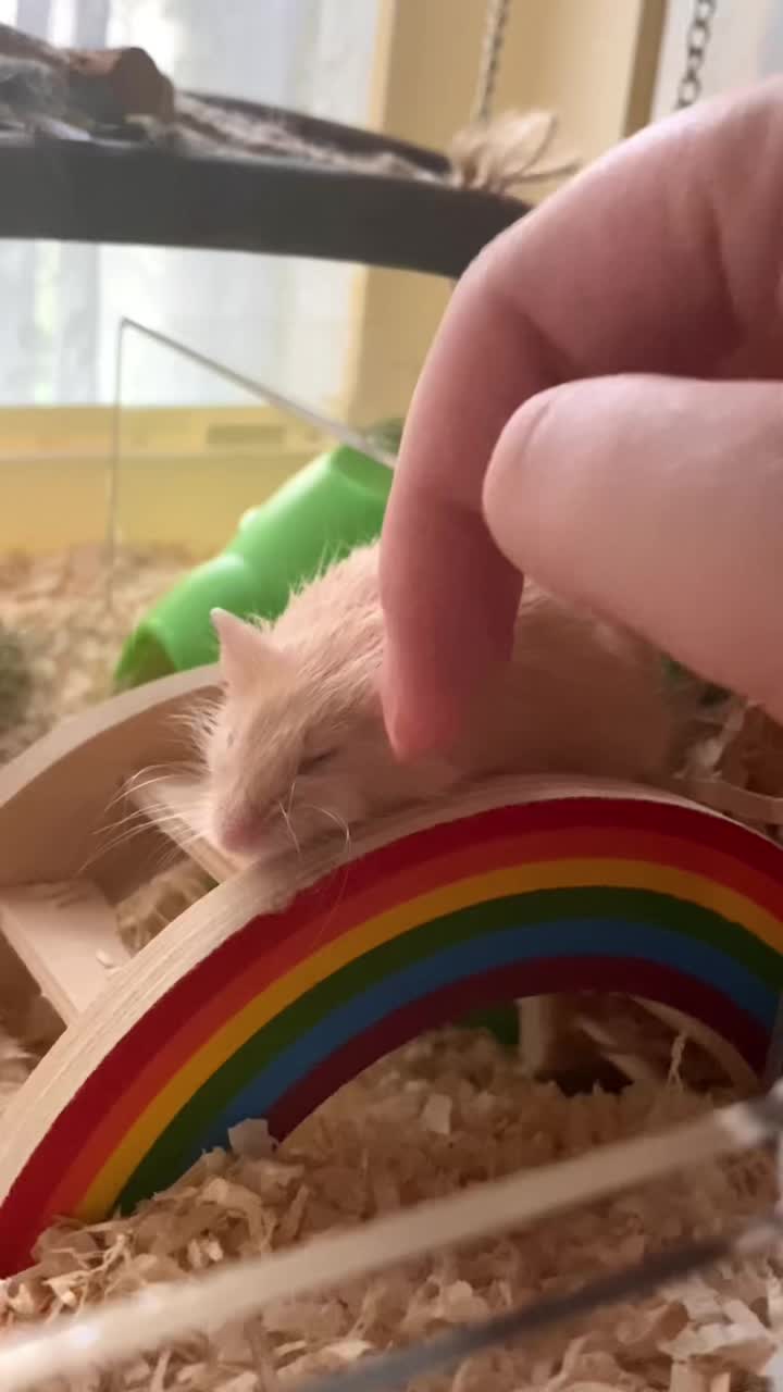 @ThatMouseGirl♡