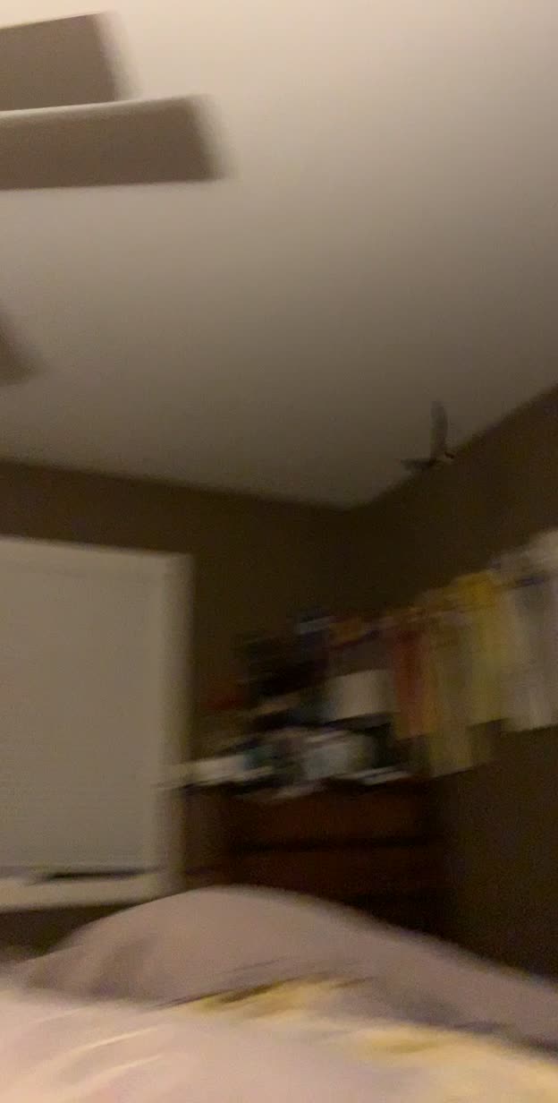 @brooketrout6