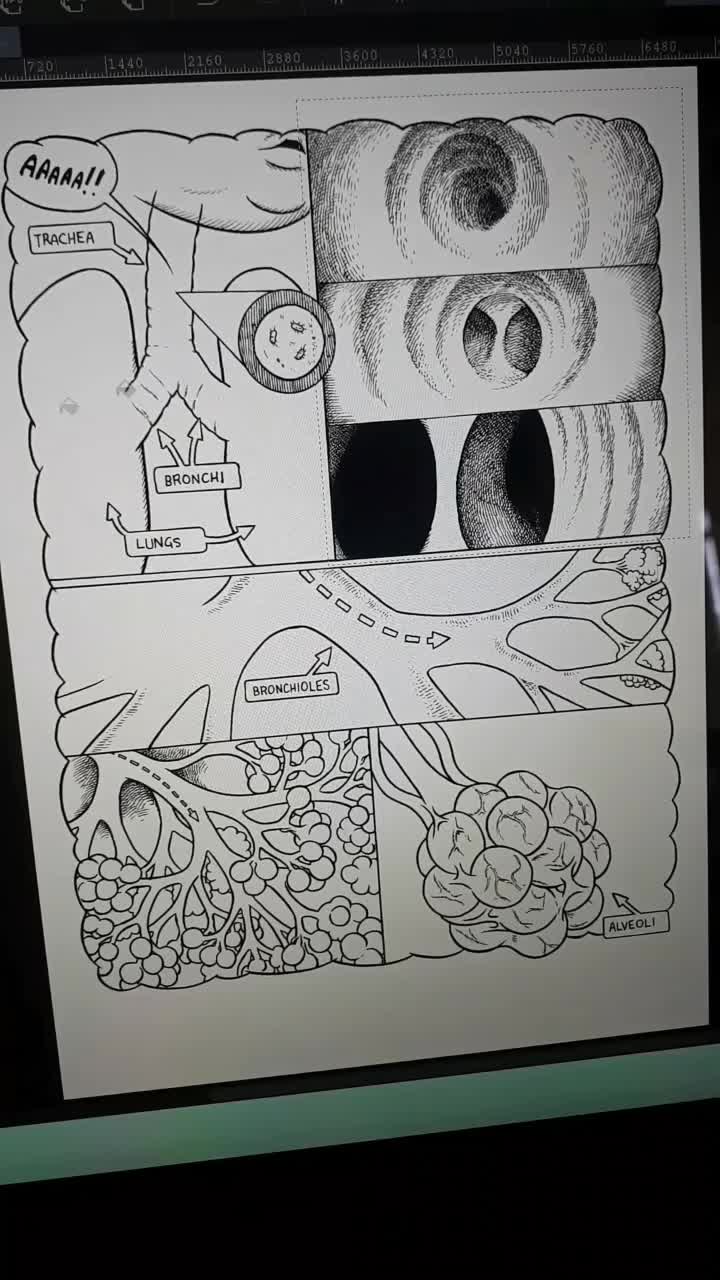 @squishfacestudio