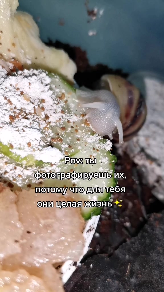 @Snails
