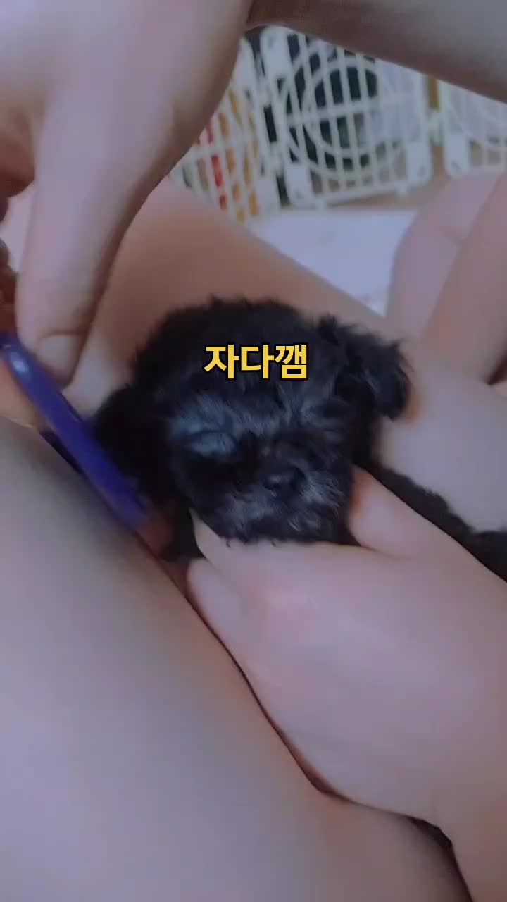 @땡롬쓰 해안경(?)