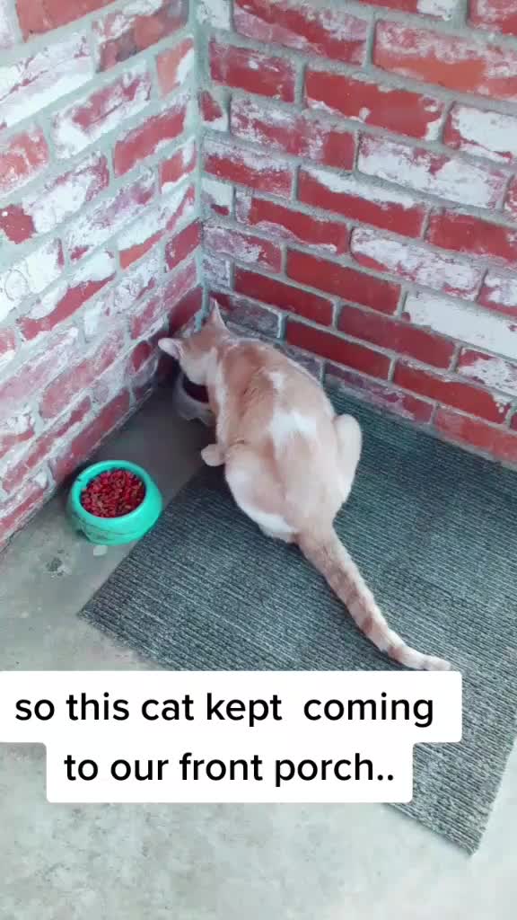 @xxoofmakerxx