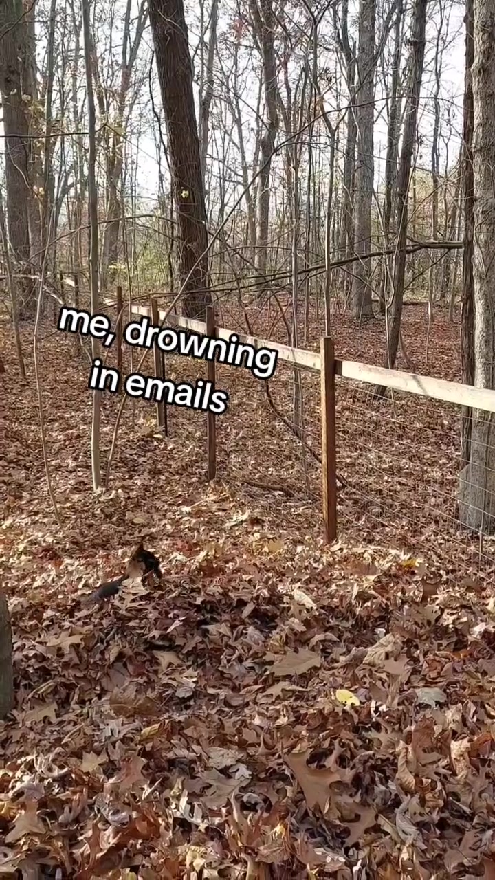 @Lara Lladoc