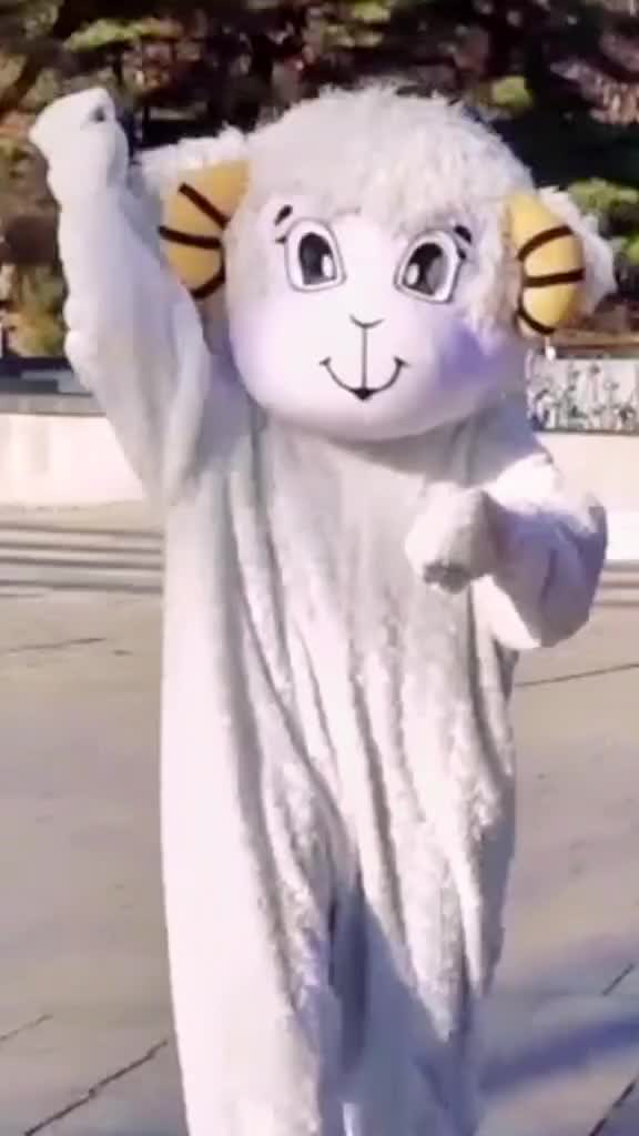 @🐹707🐹