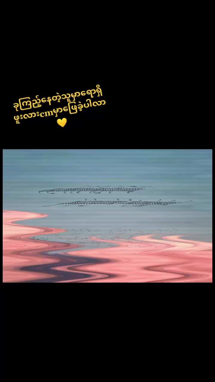 @Shwe yee9084