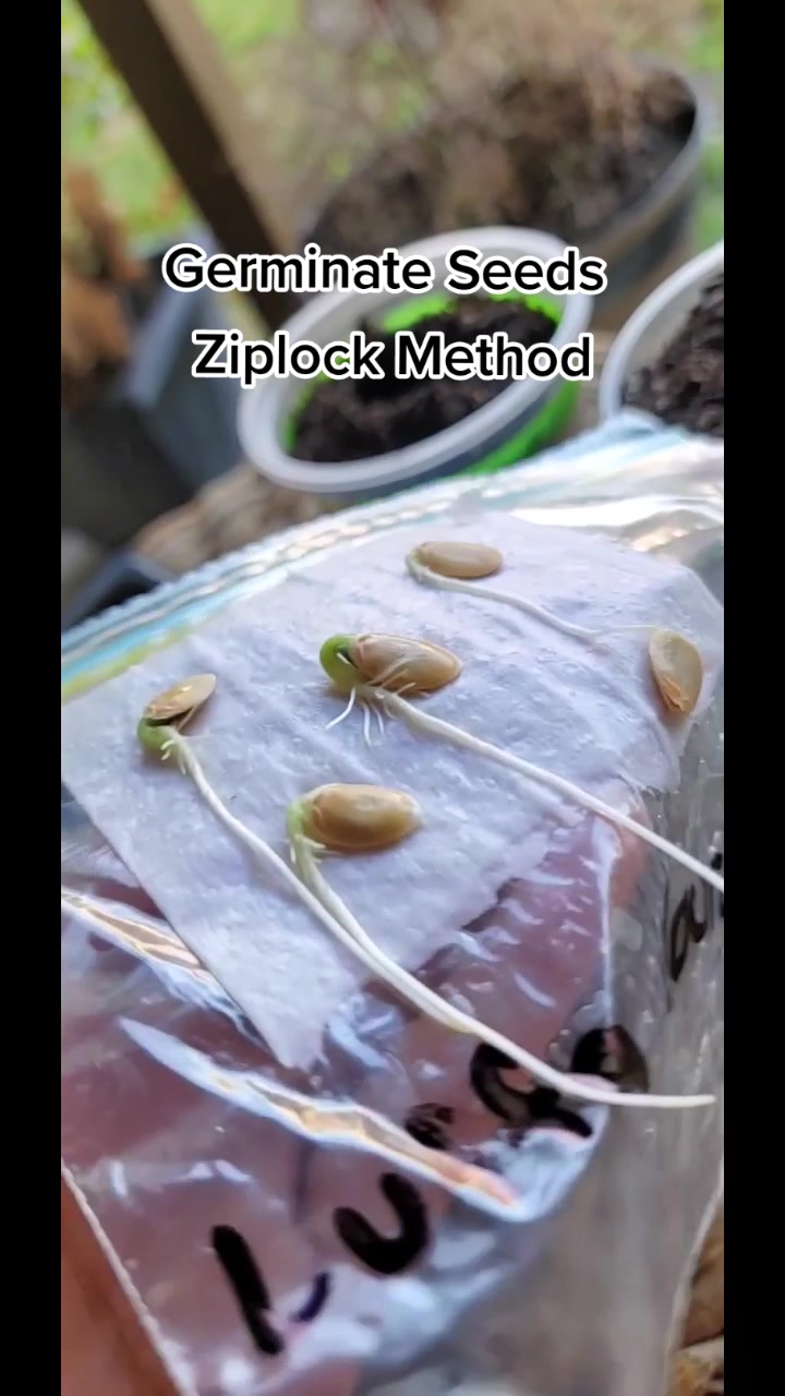 @Grateful_Gardening