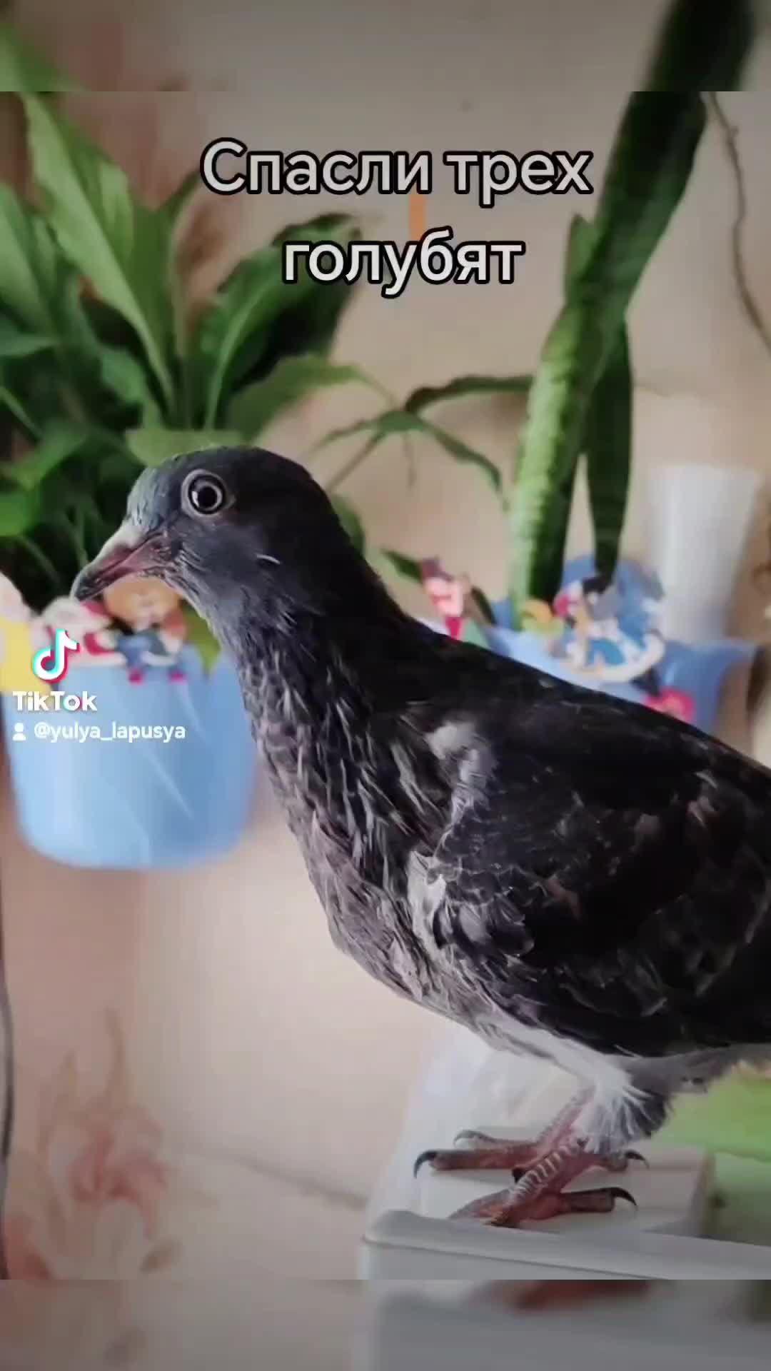 @Юлия
