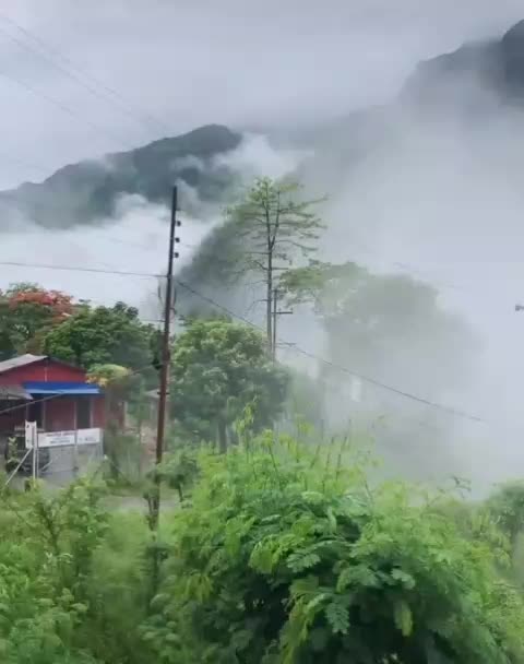 @ꜱʀᴠ〆ᴛɪɢᴇʀ