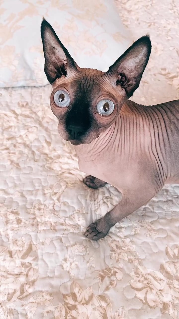 @🔥⚡️úℍЬ ~ яℍЬ⚡️🔥