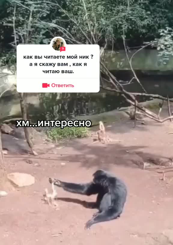 @☠💀