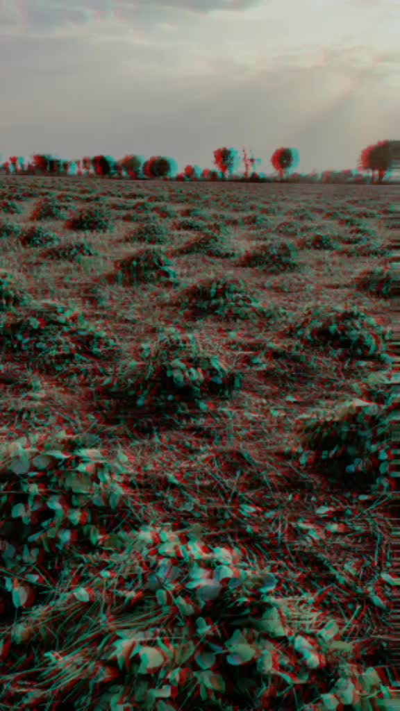 @₳$ĦɄ₮Ø$Ħ_₱₳₦₩₳Ɍ ಠ_ಠ