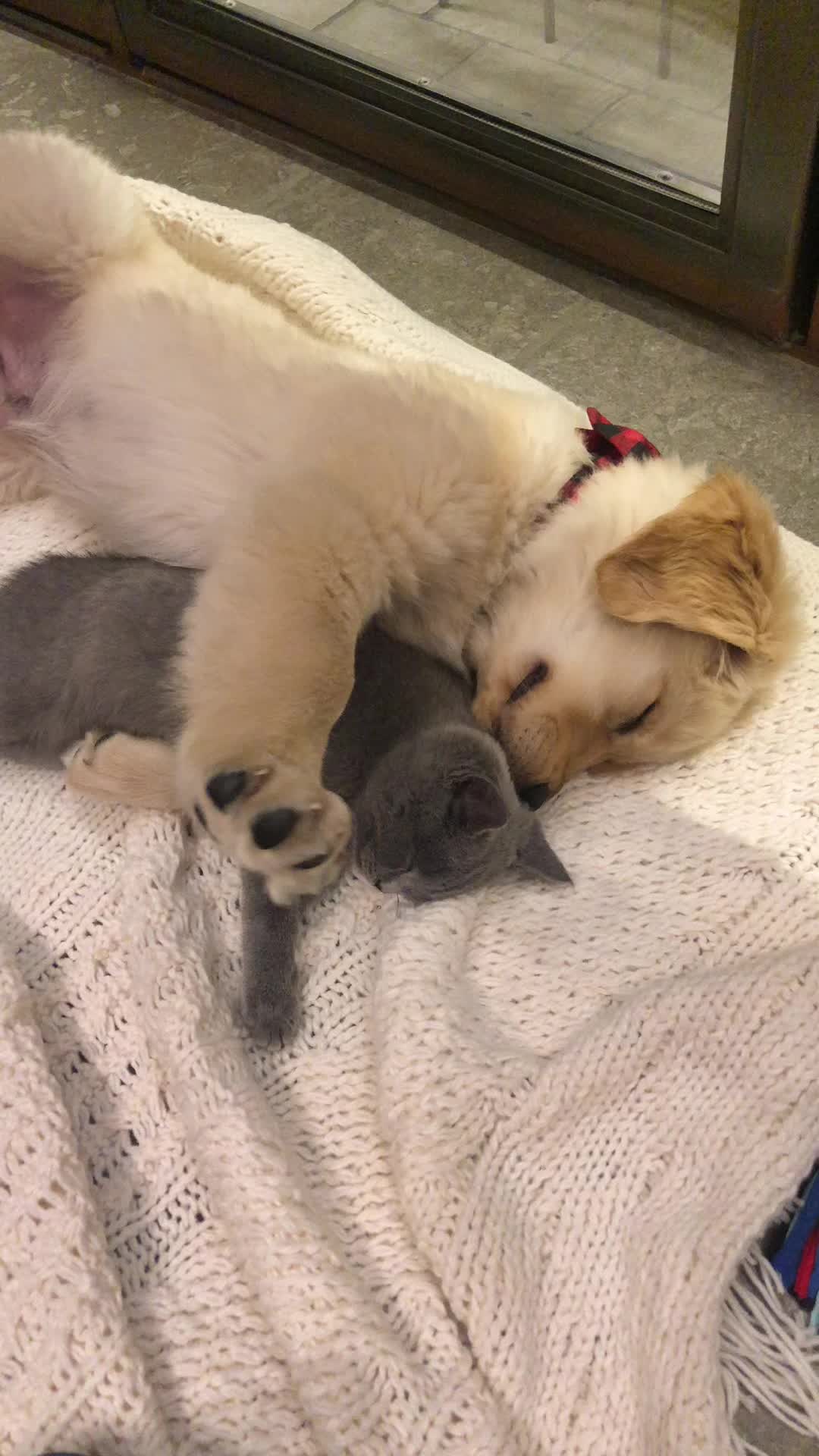 @Boris & Gregg