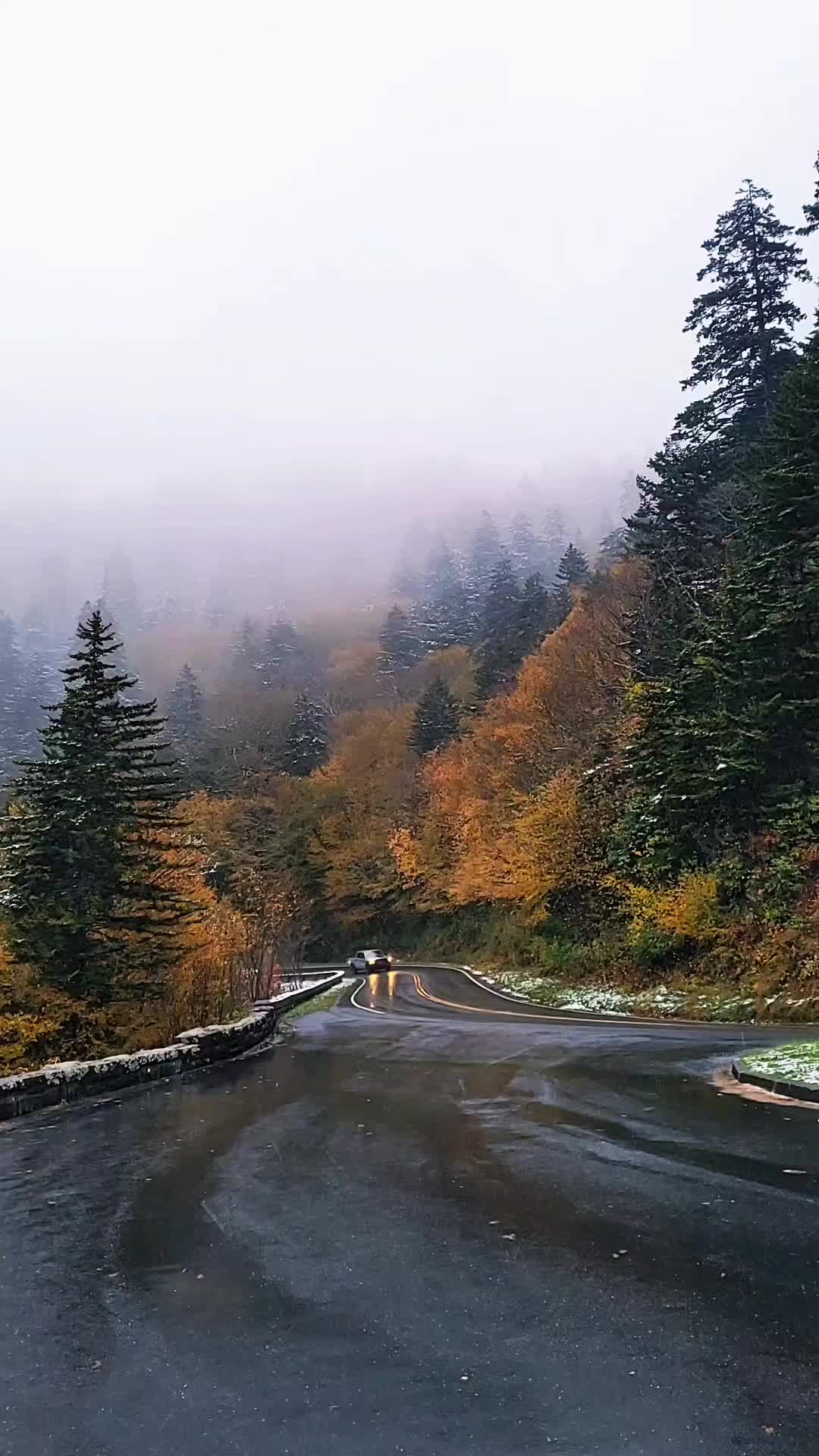 @onelovephotography