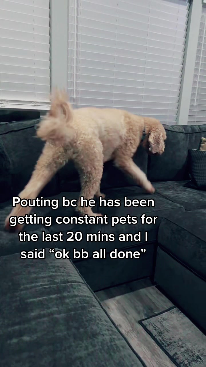 @Dood