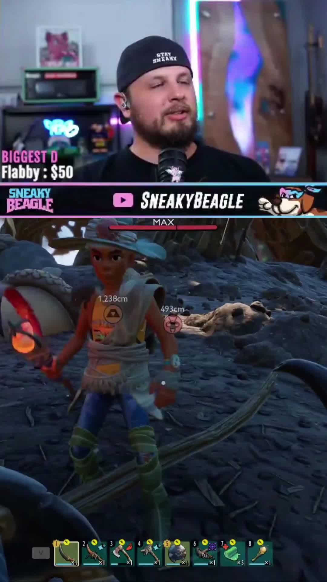 @Sneaky Beagle