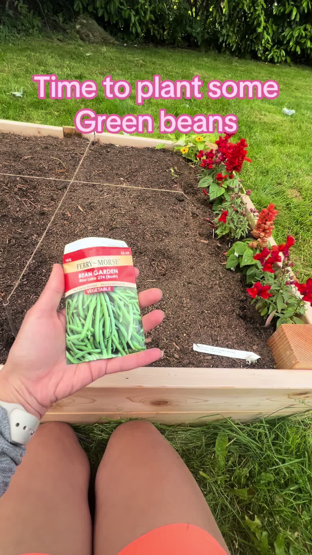 @home_stead_ish
